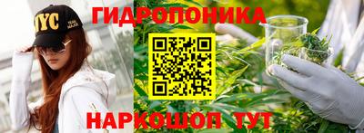 круглые Чебоксары