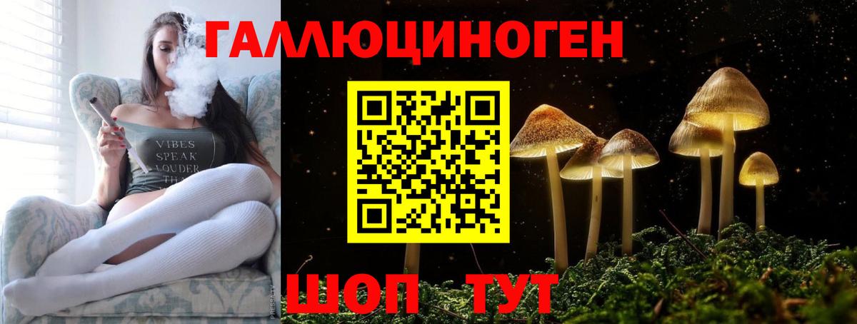 где продают наркотики  Вход с VPN  Лосино-Петровский  Псилоцибиновые грибы GOLDEN TEACHER 
